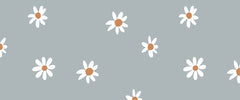 Daisy flower