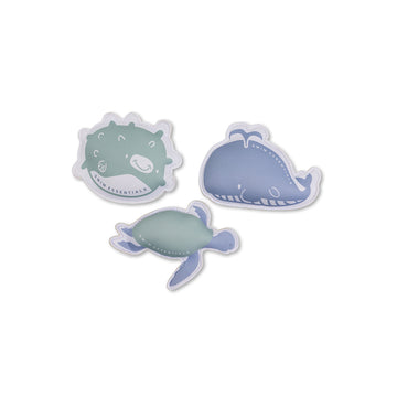 Swim Essentials | Dive Buddies