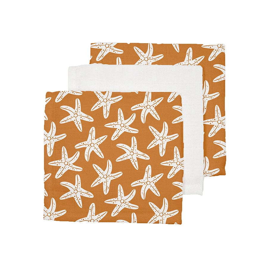 hydrophilic-cloths-25x25-cm-sea-stars-3-pieces-Swim-Essentials-1