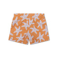 frame-pool-sea-stars-Swim-Essentials-2