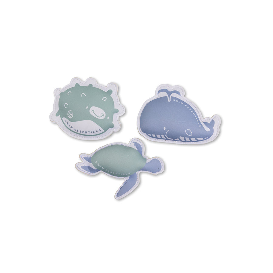 Swim Essentials | Dive Buddies